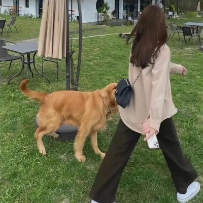 最后一个枪手